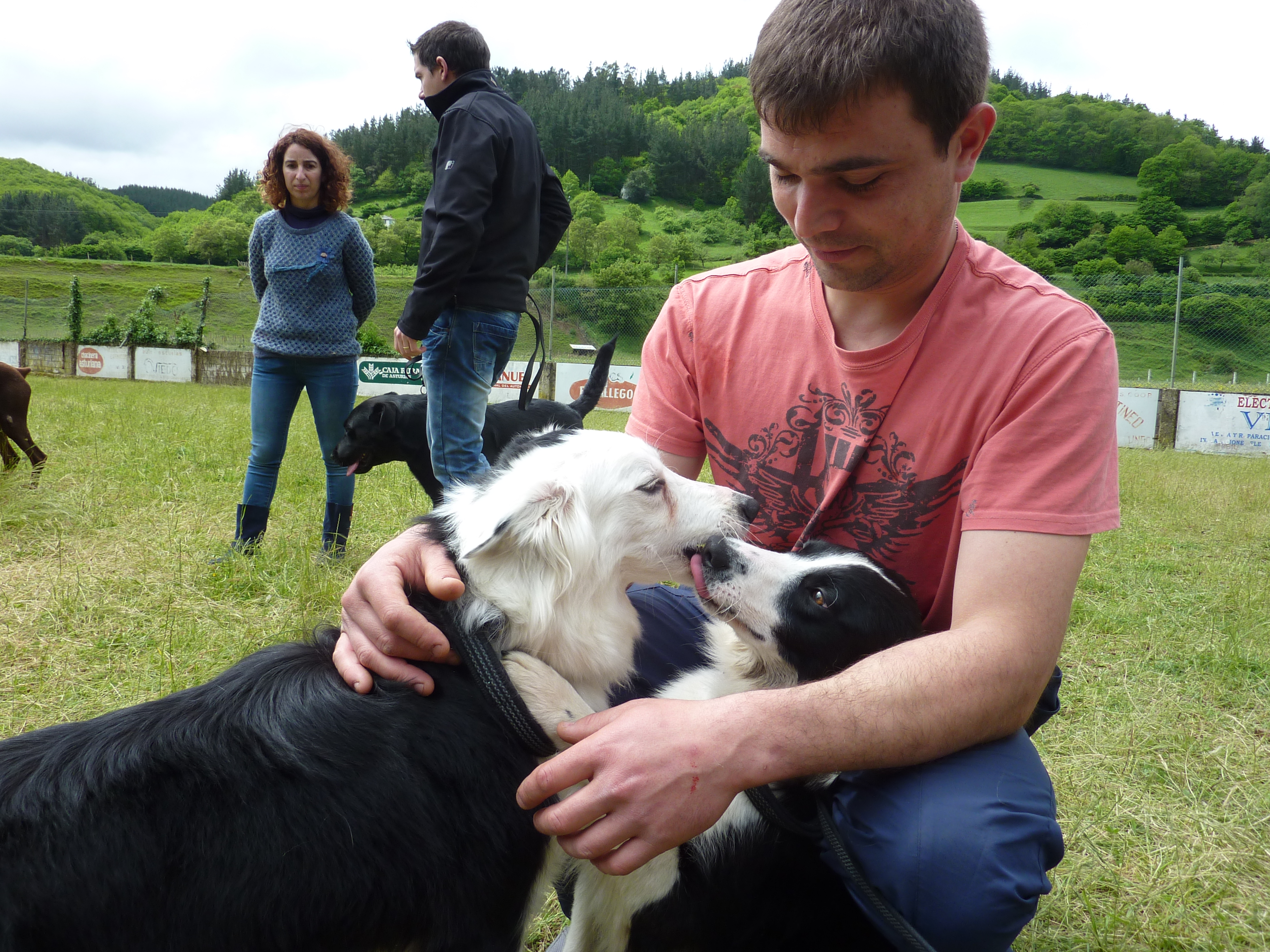 Curso adiestramiento canino Navelgas Asturias (5)